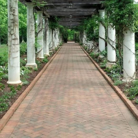 Meet your Posher, Patrick - Picture 1 of 1